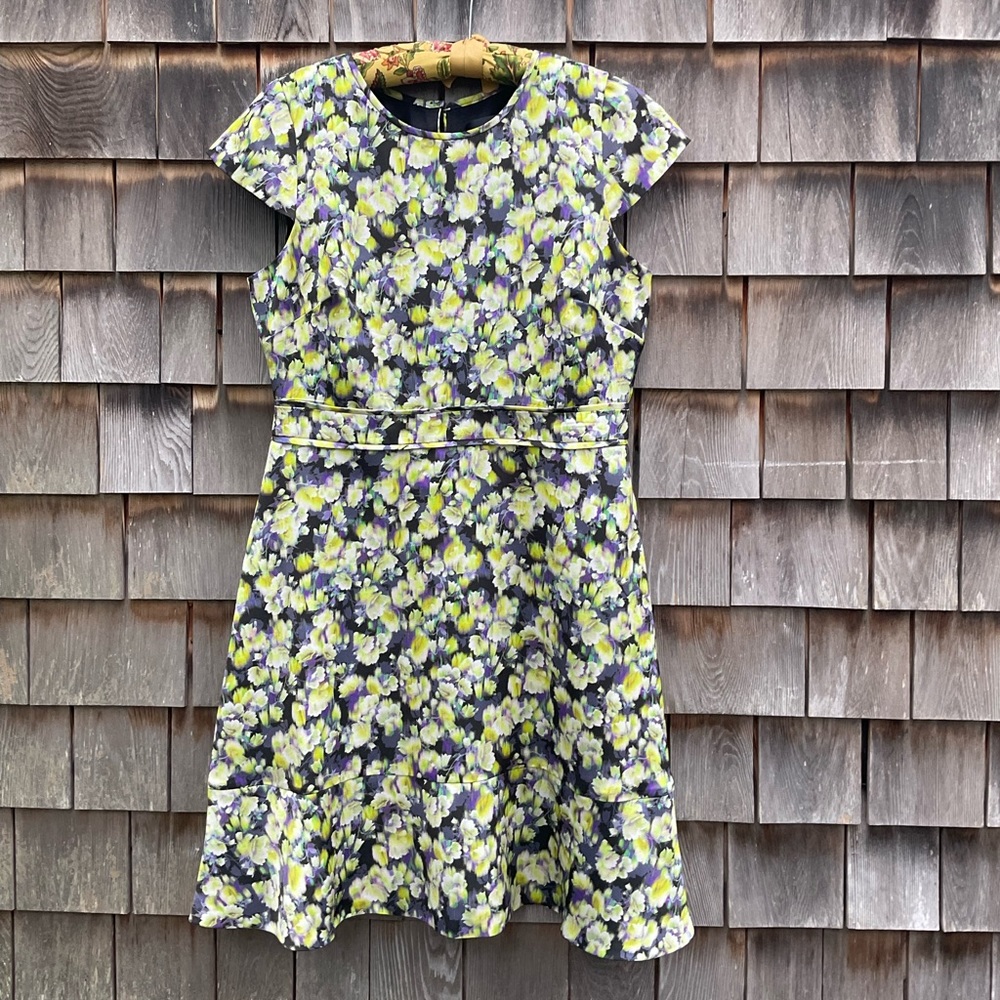 - J.Crew Dress